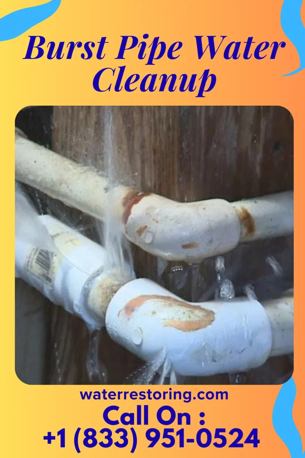 Burst Pipe Water Cleanup in North Platte, NE