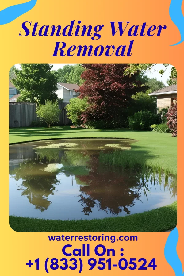 Standing Water Removal in North Platte, NE